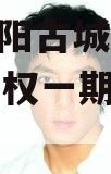 河南洛阳古城建设2023年债权一期政府债定融