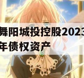 舞阳城投控股2023年债权资产