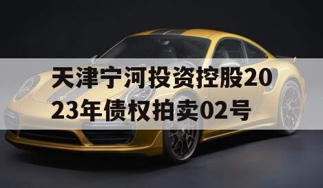 天津宁河投资控股2023年债权拍卖02号