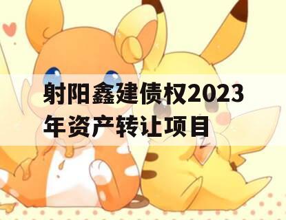 射阳鑫建债权2023年资产转让项目