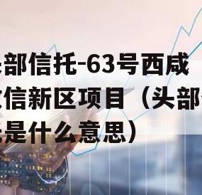 头部信托-63号西咸政信新区项目（头部信托是什么意思）