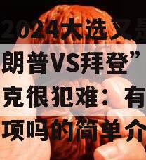 美国2024大选又是“特朗普VS拜登”？马斯克很犯难：有第三个选项吗的简单介绍