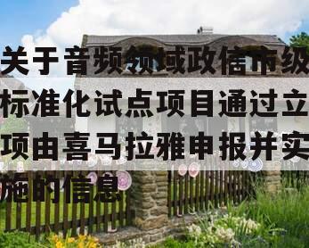 关于音频领域政信市级标准化试点项目通过立项由喜马拉雅申报并实施的信息