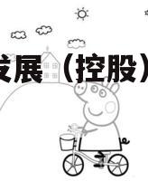 简阳发展（控股）债权资产