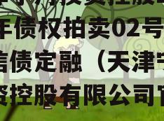 天津宁河投资控股2023年债权拍卖02号政信债定融（天津宁河投资控股有限公司官网）