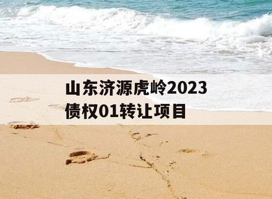 山东济源虎岭2023债权01转让项目