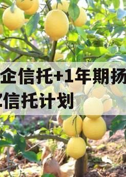 央企信托+1年期扬州YZ信托计划 央企信托+1年期扬州YZ信托计划