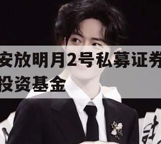 安放明月2号私募证券投资基金