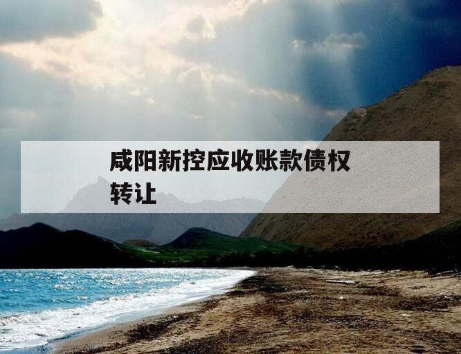 咸阳新控应收账款债权转让