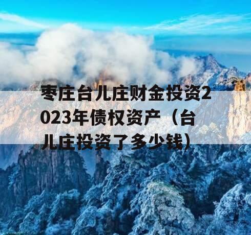 枣庄台儿庄财金投资2023年债权资产（台儿庄投资了多少钱）