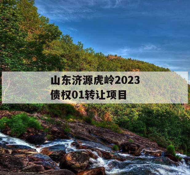 山东济源虎岭2023债权01转让项目