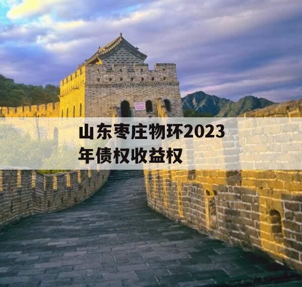 山东枣庄物环2023年债权收益权