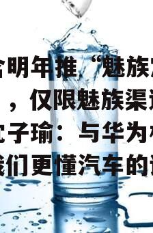 包含明年推“魅族定制车”，仅限魅族渠道销售沈子瑜：与华为相比，我们更懂汽车的词条