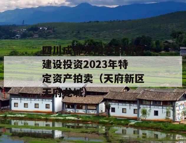 四川成都龙阳天府新区建设投资2023年特定资产拍卖（天府新区天府龙城）