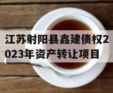 江苏射阳县鑫建债权2023年资产转让项目
