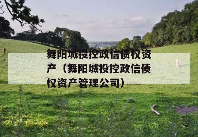 舞阳城投控政信债权资产（舞阳城投控政信债权资产管理公司）