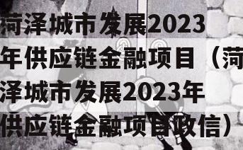 菏泽城市发展2023年供应链金融项目（菏泽城市发展2023年供应链金融项目政信）