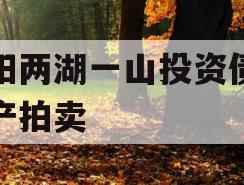简阳两湖一山投资债权资产拍卖