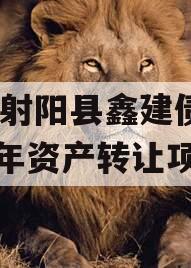 江苏射阳县鑫建债权2023年资产转让项目