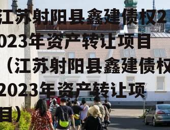 江苏射阳县鑫建债权2023年资产转让项目（江苏射阳县鑫建债权2023年资产转让项目）