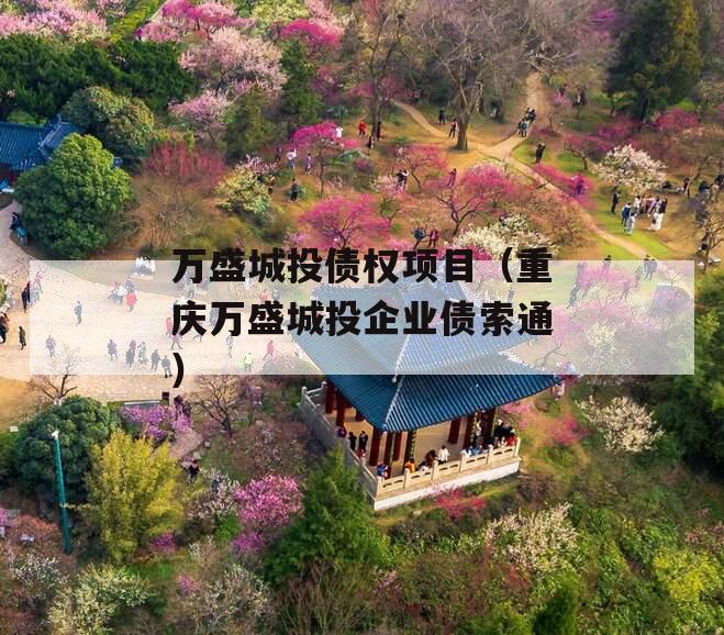 万盛城投债权项目（重庆万盛城投企业债索通）