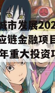 菏泽城市发展2023年供应链金融项目（菏泽21年重大投资项目）