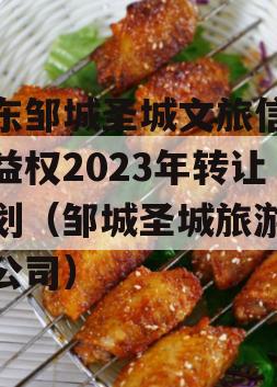山东邹城圣城文旅信托收益权2023年转让计划（邹城圣城旅游开发公司）