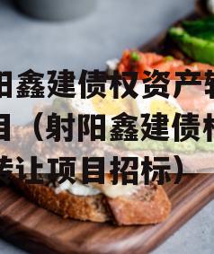 射阳鑫建债权资产转让项目（射阳鑫建债权资产转让项目招标）