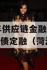 山东菏泽城市发展2023年供应链金融项目政信债定融（菏泽21年重大投资项目）