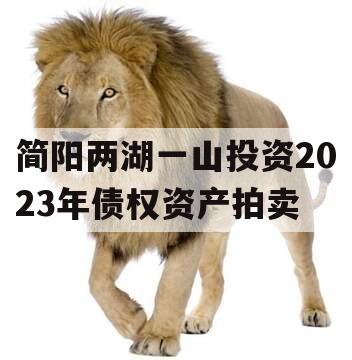 简阳两湖一山投资2023年债权资产拍卖