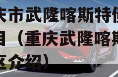 重庆市武隆喀斯特债权项目（重庆武隆喀斯特景区介绍）
