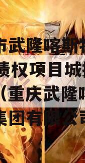 重庆市武隆喀斯特2023年债权项目城投债定融（重庆武隆喀斯特旅游集团有限公司）