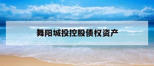 舞阳城投控股债权资产