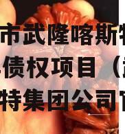 重庆市武隆喀斯特2023年债权项目（武隆喀斯特集团公司官网）