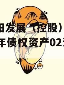 简阳发展（控股）2023年债权资产02计划
