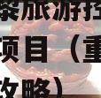 重庆九黎旅游控政信债权资产项目（重庆九黎城旅游攻略）