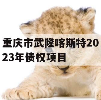 重庆市武隆喀斯特2023年债权项目