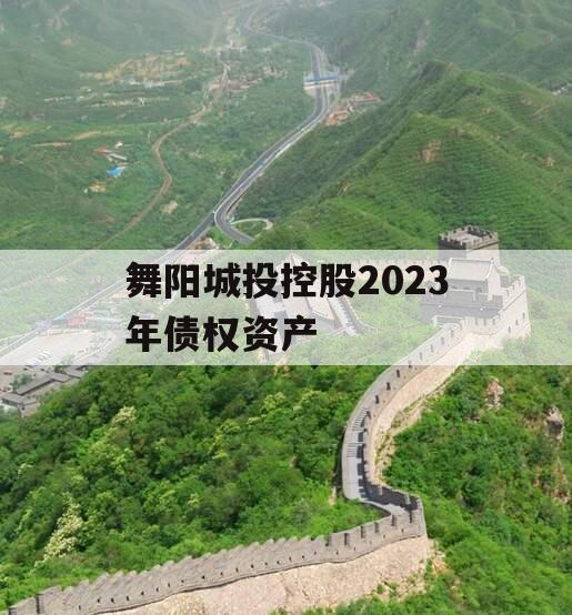 舞阳城投控股2023年债权资产