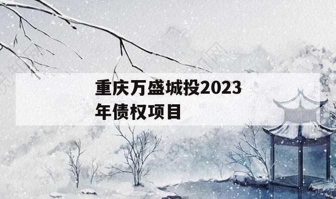 重庆万盛城投2023年债权项目