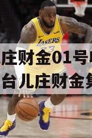 台儿庄财金01号收益权（台儿庄财金集团）