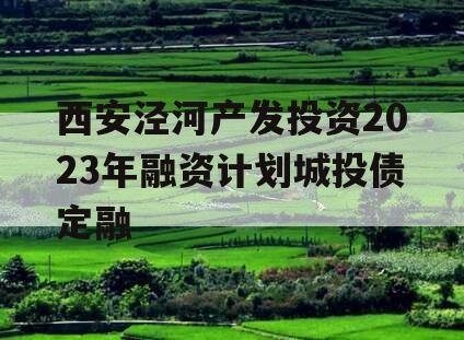 西安泾河产发投资2023年融资计划城投债定融