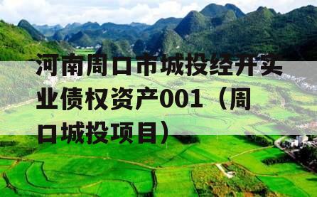 河南周口市城投经开实业债权资产001（周口城投项目）