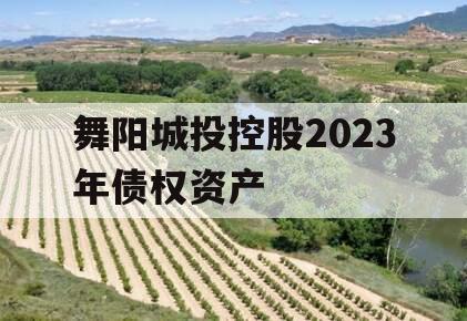 舞阳城投控股2023年债权资产