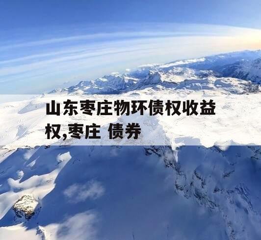 山东枣庄物环债权收益权,枣庄 债券