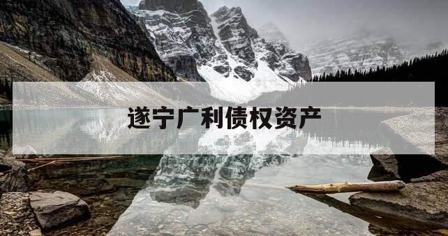 遂宁广利债权资产