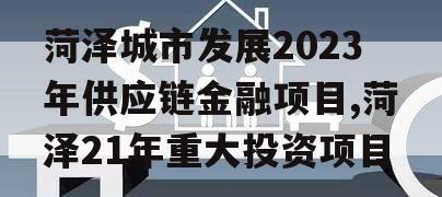 菏泽城市发展2023年供应链金融项目,菏泽21年重大投资项目