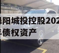 舞阳城投控股2023年债权资产