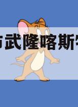 重庆市武隆喀斯特债权项目