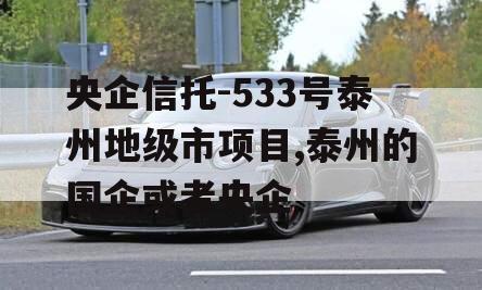 央企信托-533号泰州地级市项目,泰州的国企或者央企