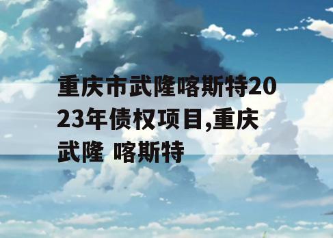 重庆市武隆喀斯特2023年债权项目,重庆武隆 喀斯特
